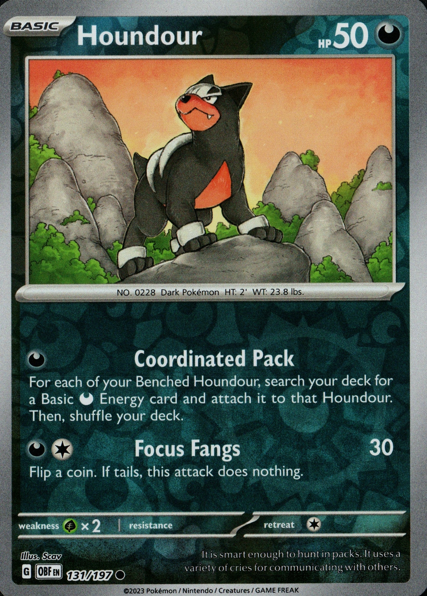 Houndour 131/197