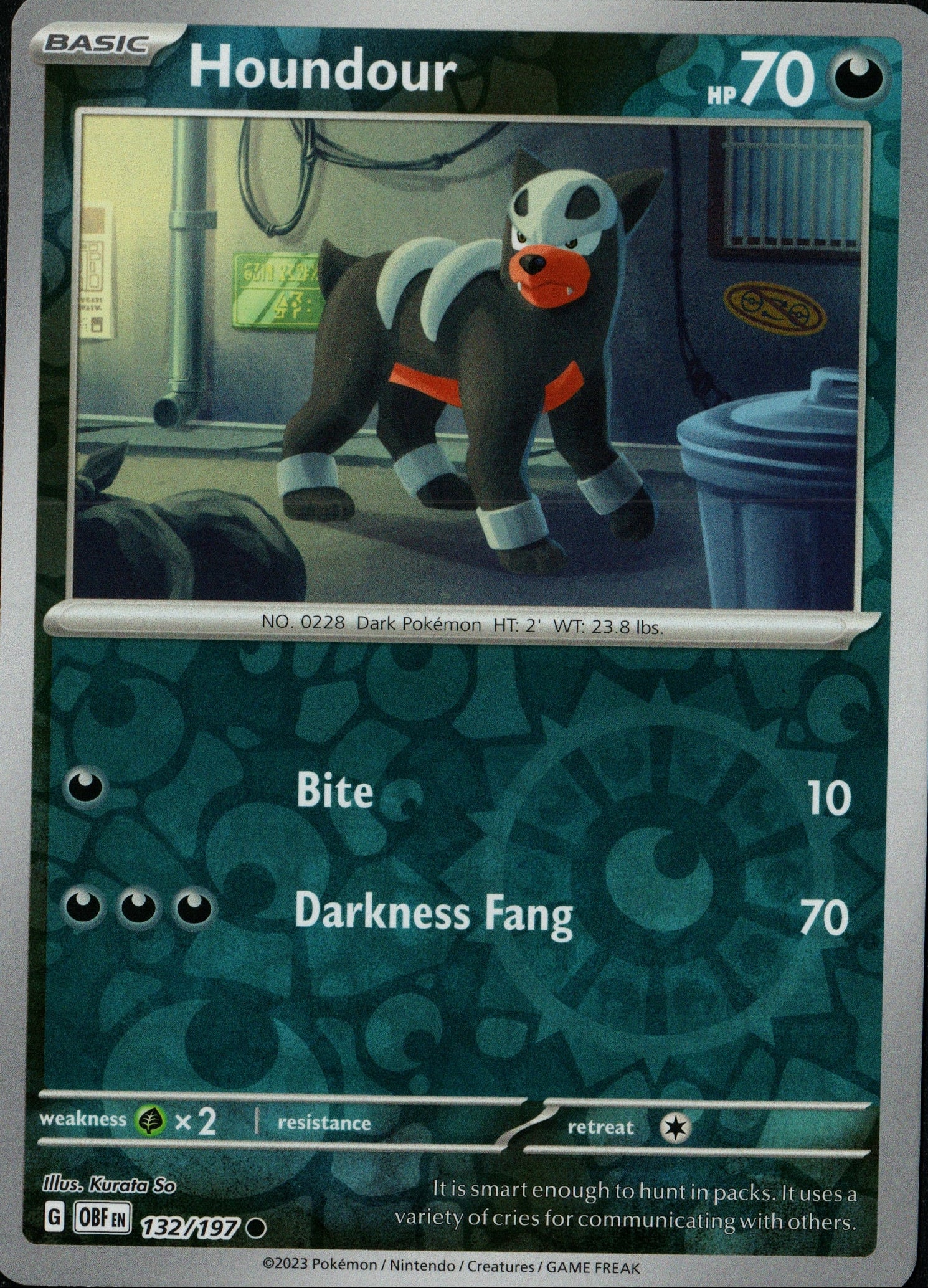 Houndour 132/197