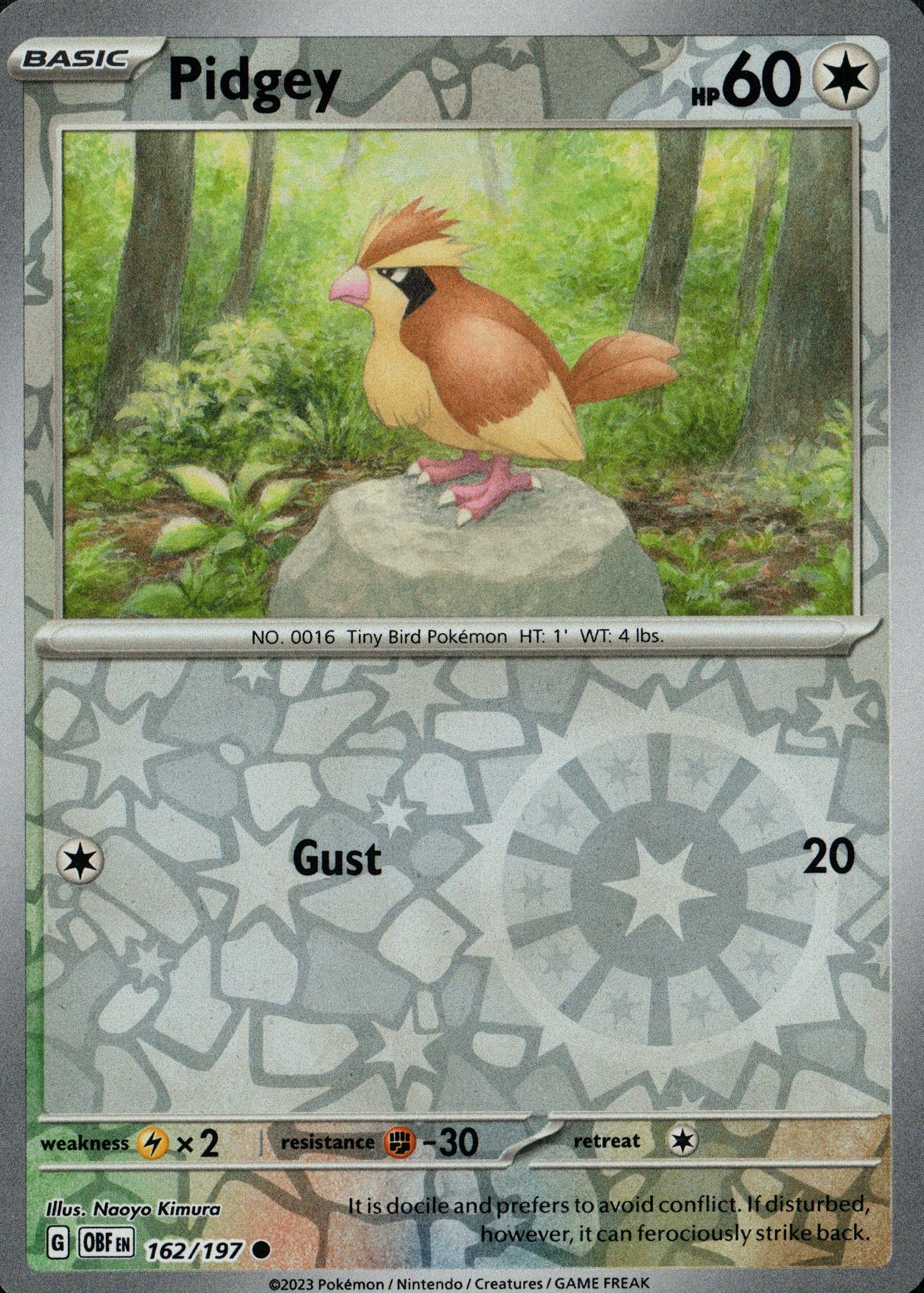 Pidgey 162/197