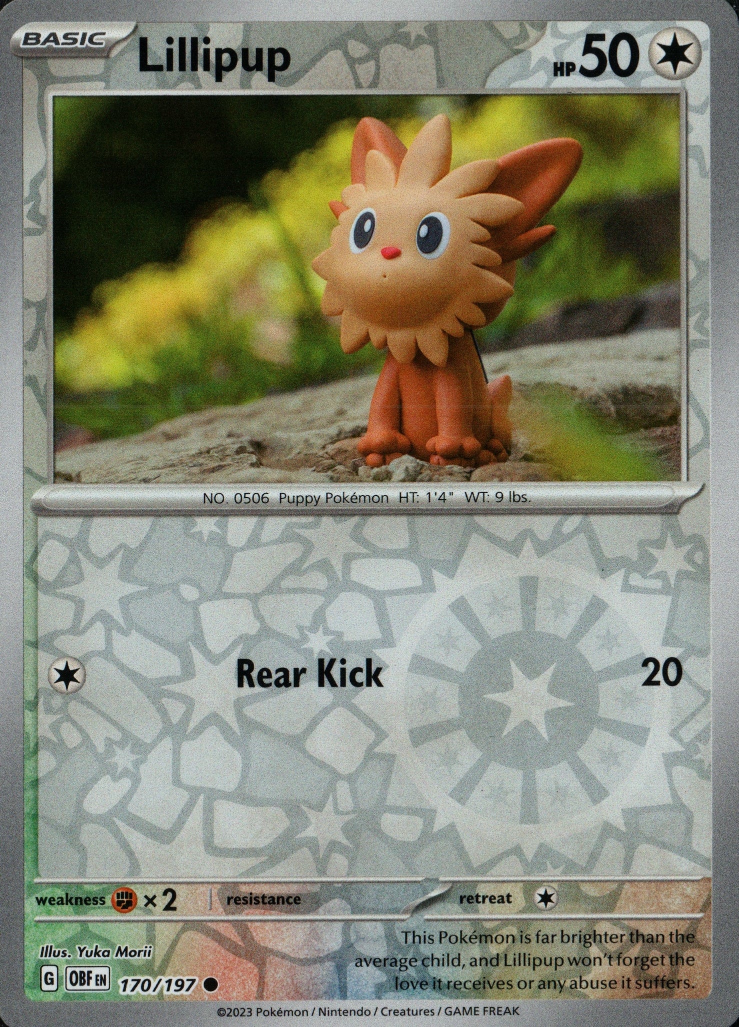 Lillipup 170/197